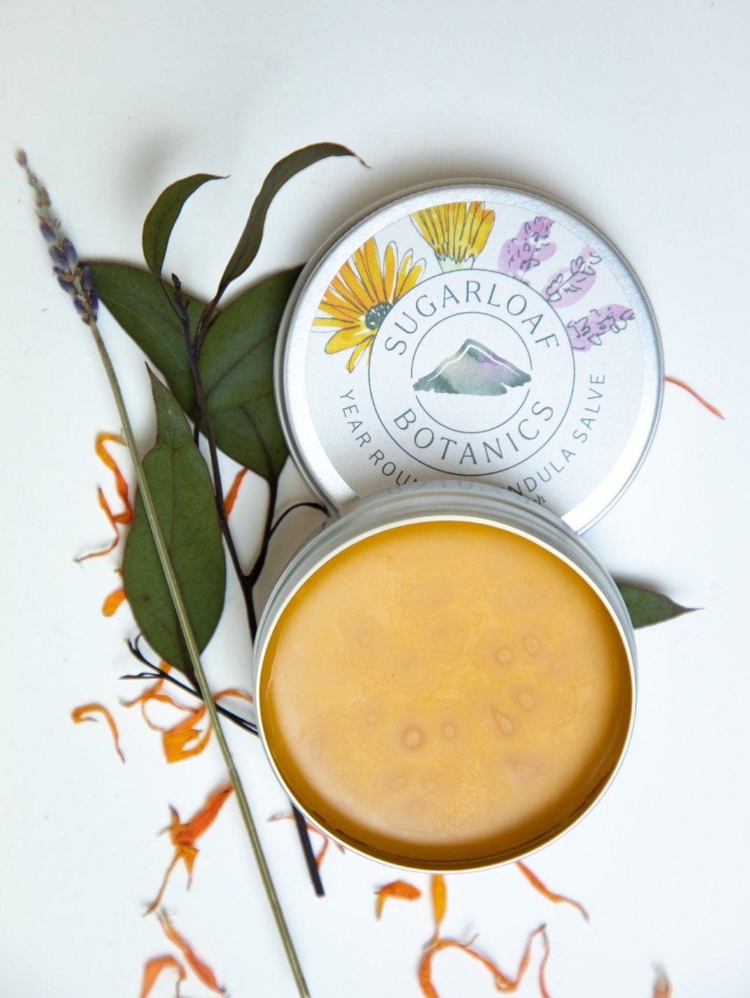 Calendula salve