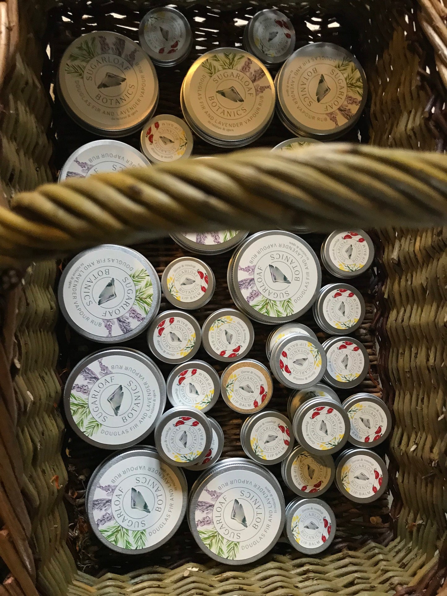 Gorse and rosehip lip balm