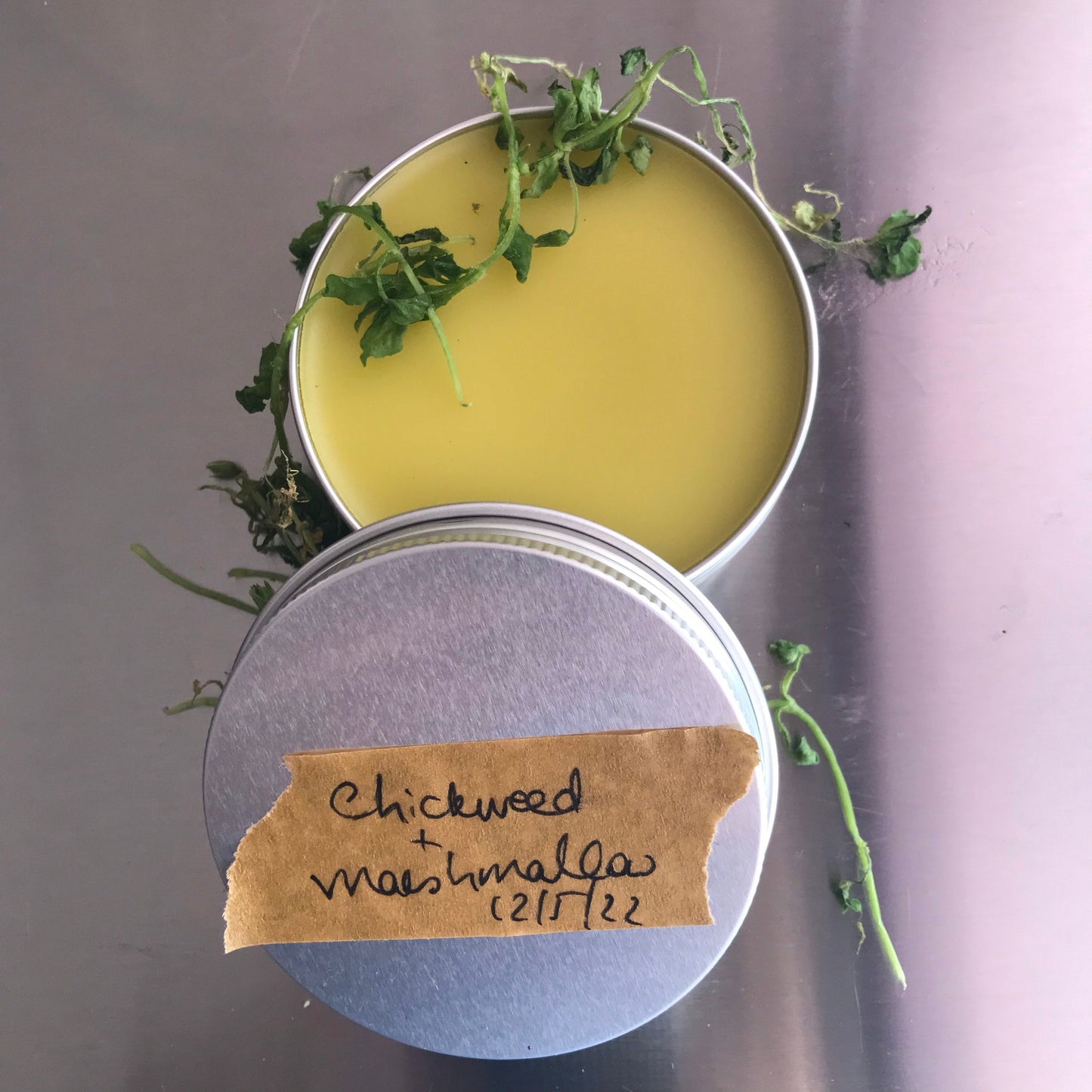 Chickweed and marshmallow salve