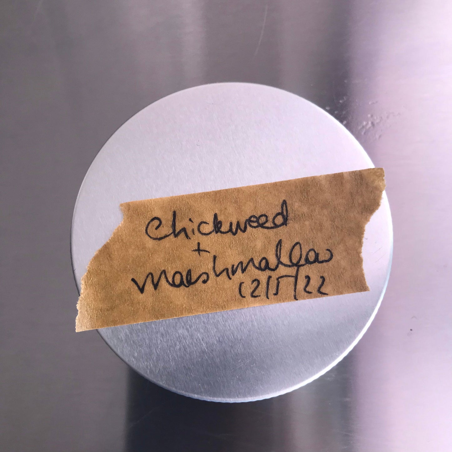Chickweed and marshmallow salve