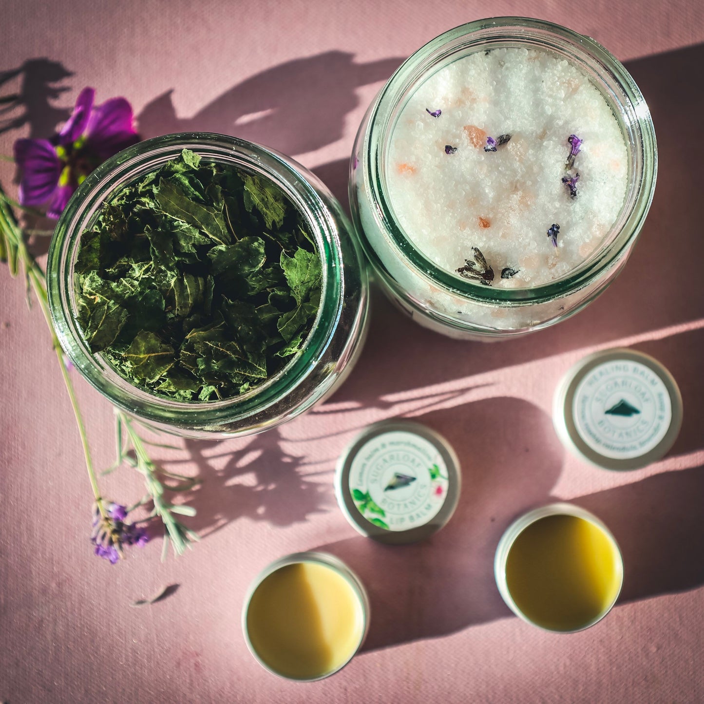 Botanical newborn set