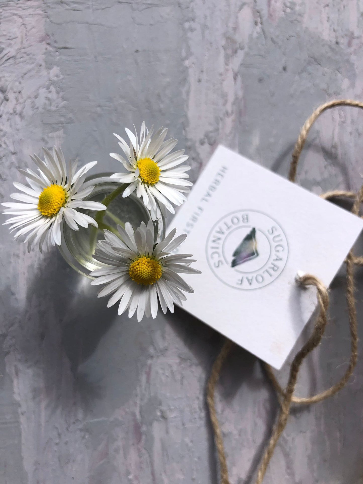 Herbal first aid kit