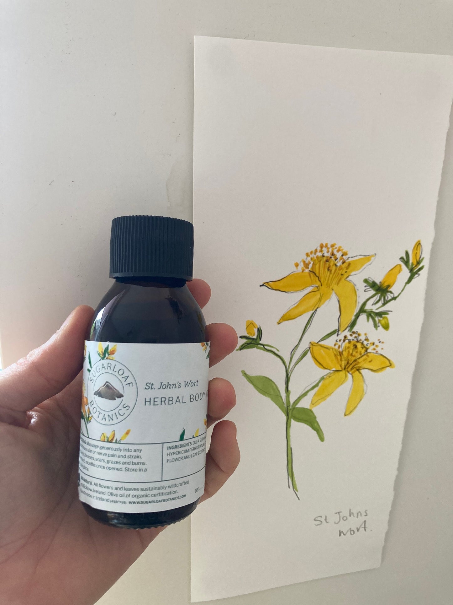 St John’s wort herbal oil