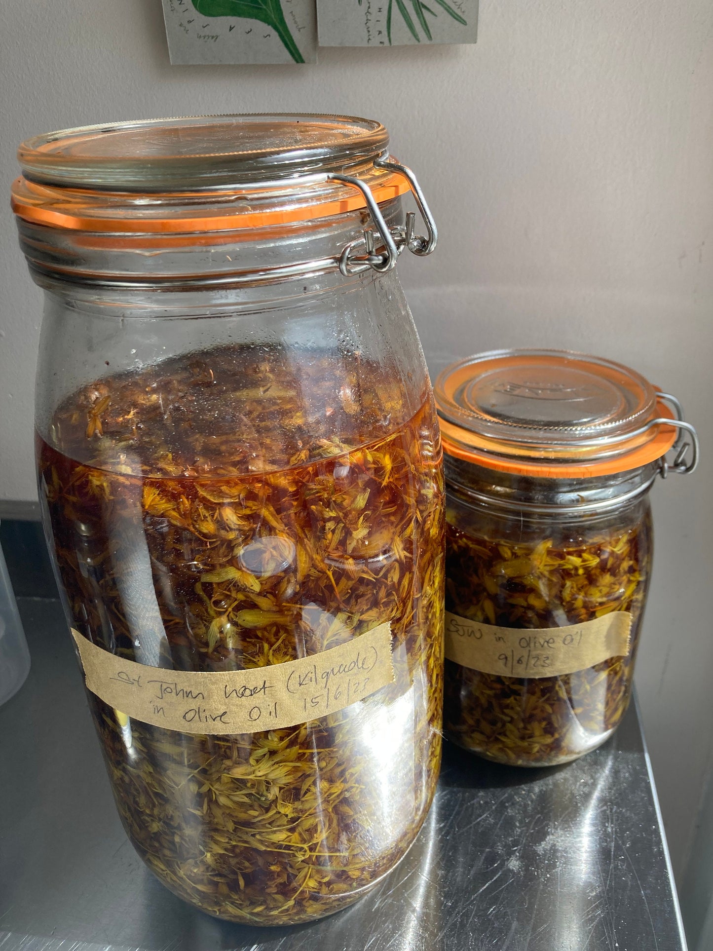 St John’s wort herbal oil