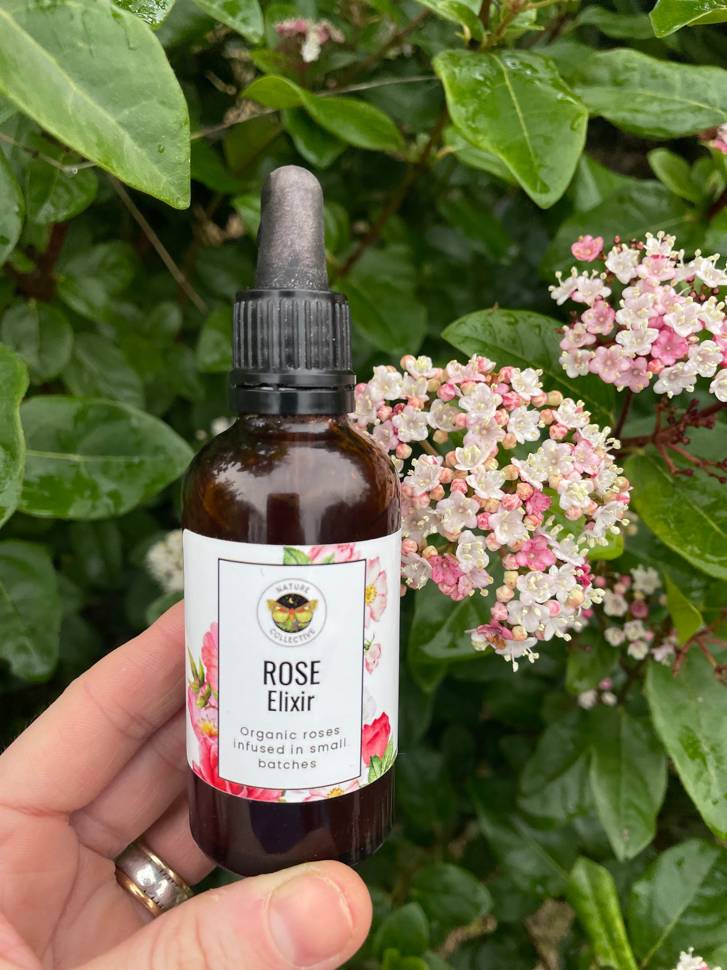 Rose elixir