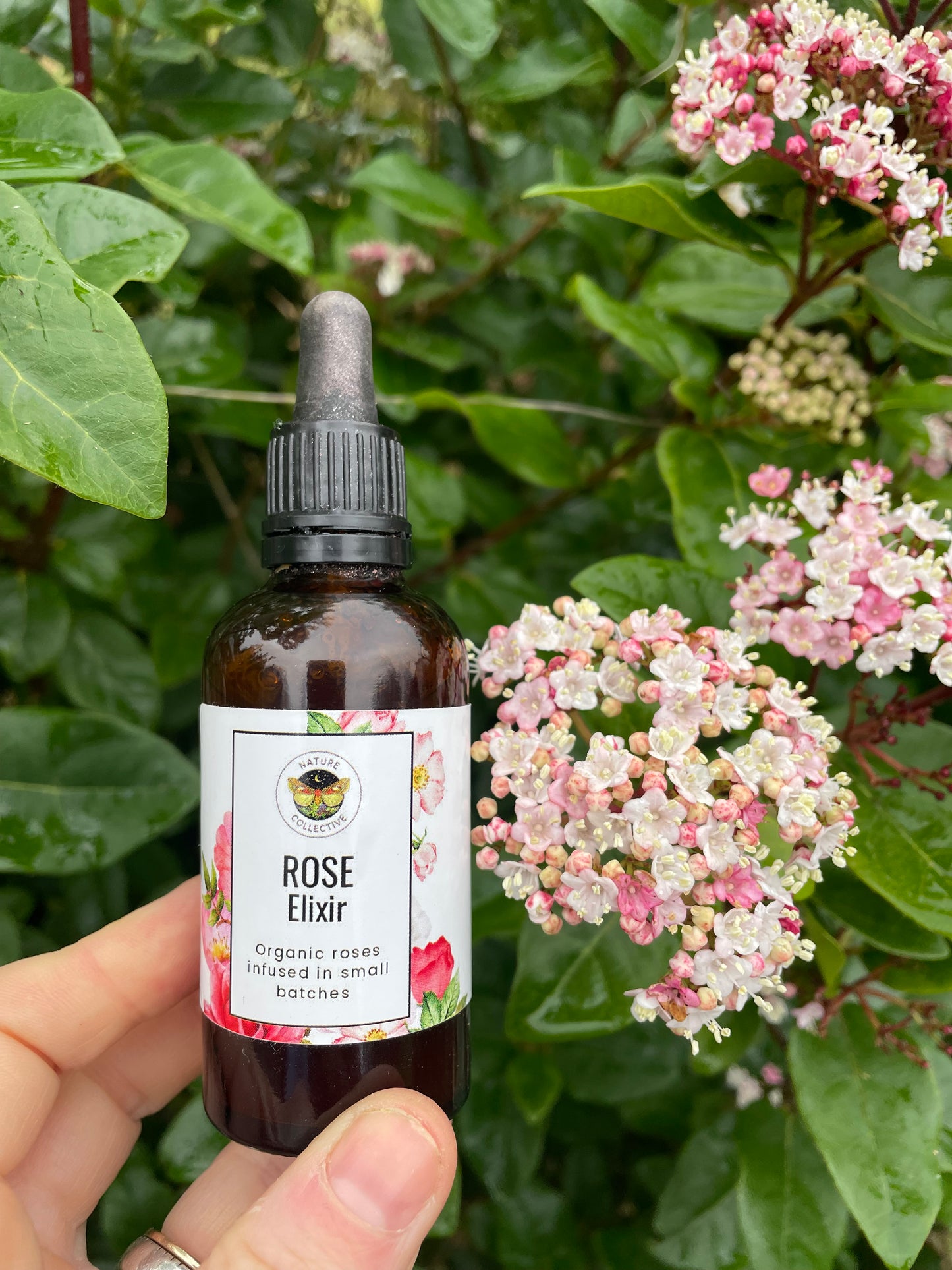 Rose elixir