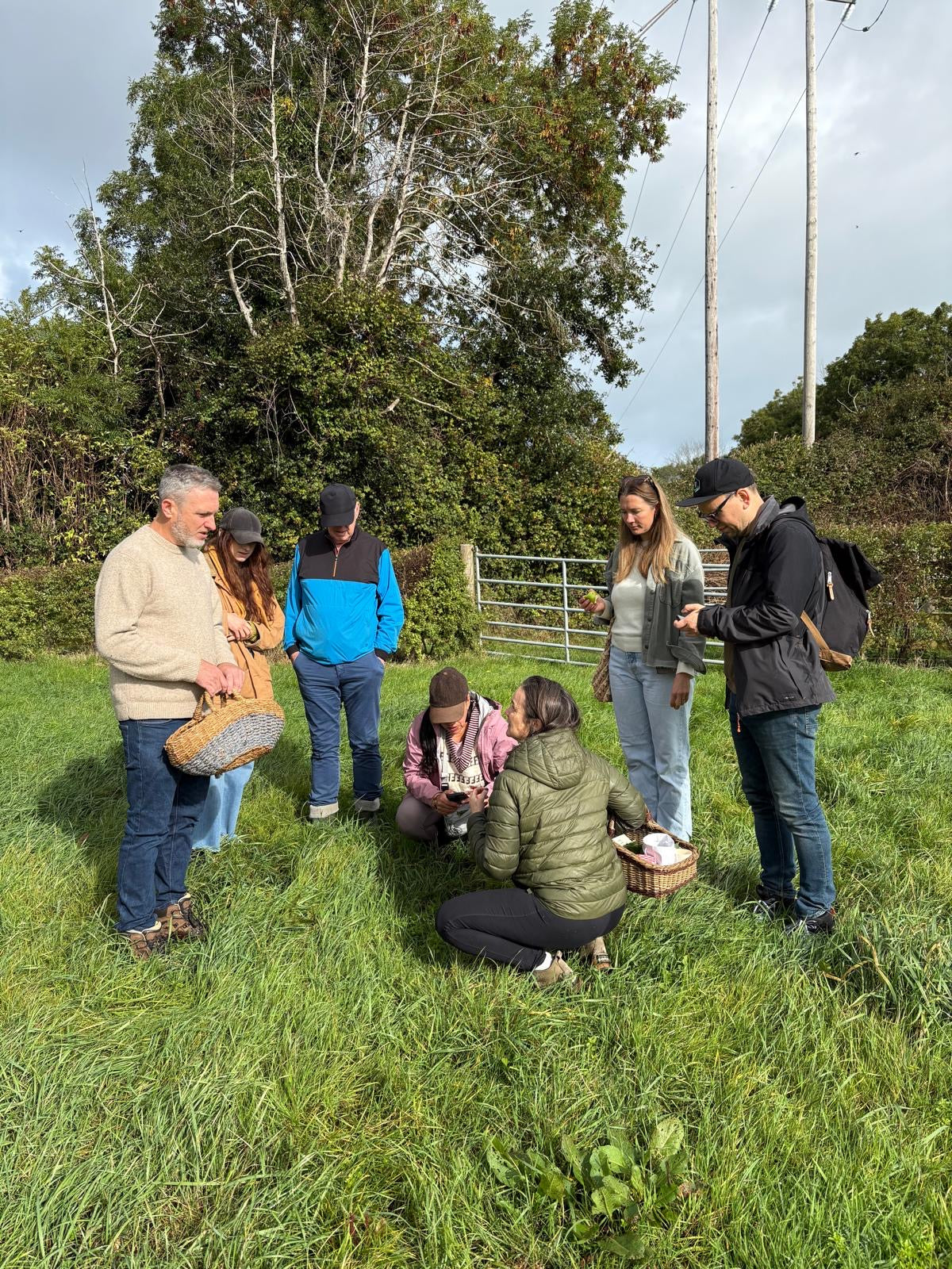 Foraging and coffee