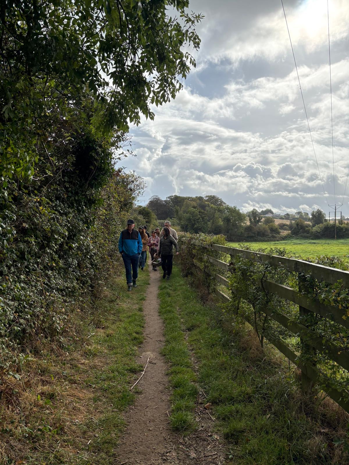 Foraging and coffee