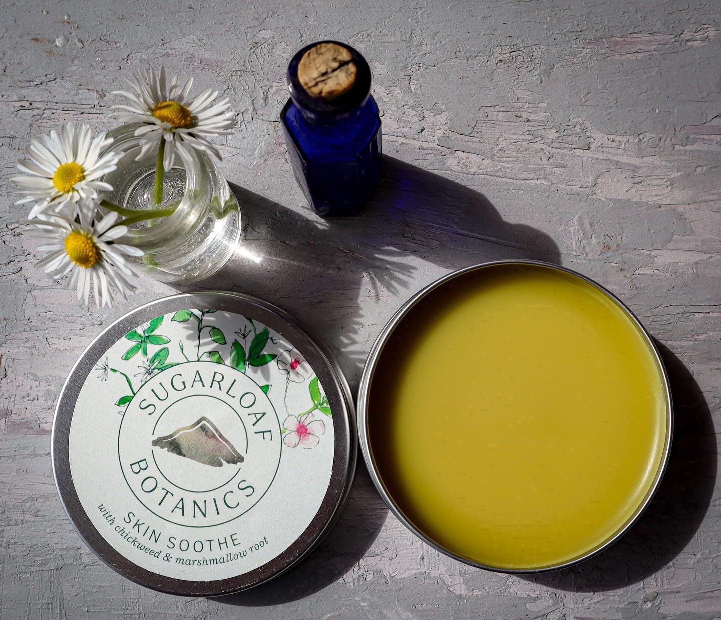 Chickweed and marshmallow salve
